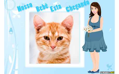 Moldura - Vou Ter Um Menino