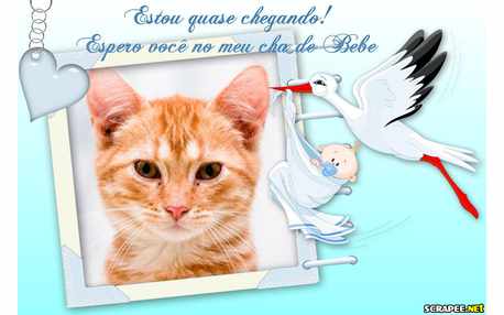 Moldura - Convite Cha De Bebe