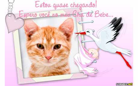 Moldura - Convite Cha De Bebe Menina