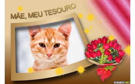 Moldura - Mae Meu Tesouro