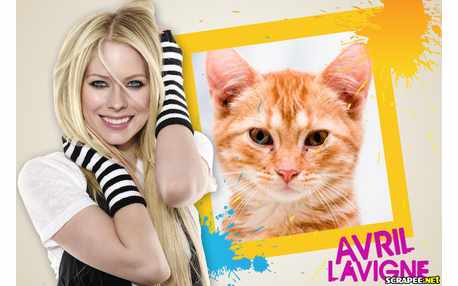 Moldura - Avril Lavigne