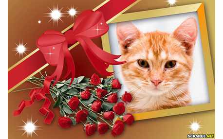 Moldura - Buque De Rosas