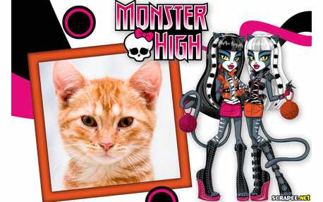 Moldura - Monster High