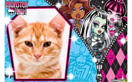 Moldura - Bonecas Monster High