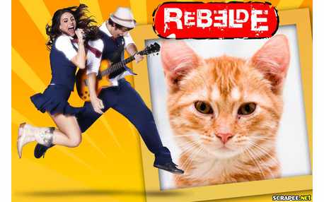 Moldura - Moldura Rebeldes