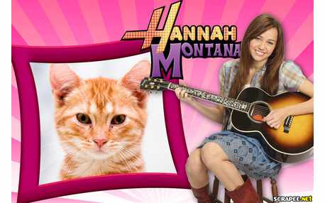 Moldura - Hannah Montana