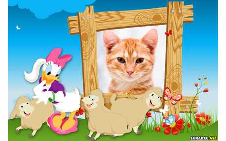 Moldura - Margarida E Os Carneirinhos