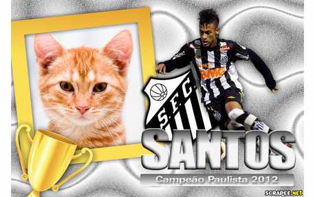 Moldura - Santos Campeao 2012