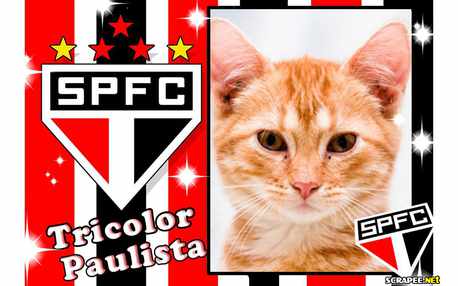 Moldura - Tricolor Paulista   Spsc
