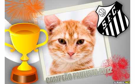 Moldura - Campeao Paulista