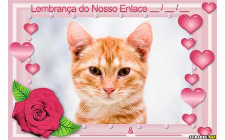 Moldura - Lembrancinha De Casamento