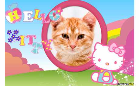 Moldura - Hello Kity Rosa