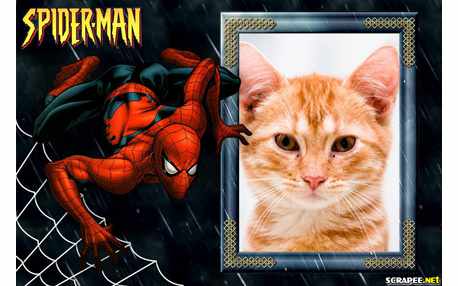 Moldura - Homem Aranha   Spider Man