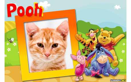 Moldura - Ursinho Pooh E Seus Amigos