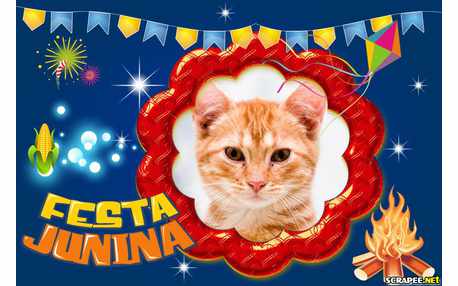 Moldura - Festa Junina