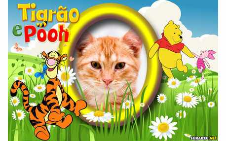 Moldura - Tigrao E Pooh
