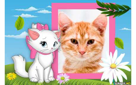 Moldura - Gatinha Marie