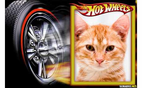 Moldura - Hot Weels