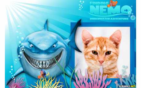 Moldura - Procurando Nemo 2