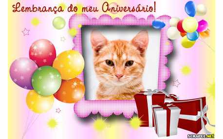 Moldura - Moldura  Lembranca De Aniversario Feminina