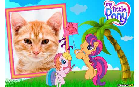 Moldura - My Little Poney