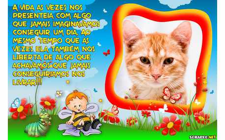 Moldura - Surpresas Da Vida