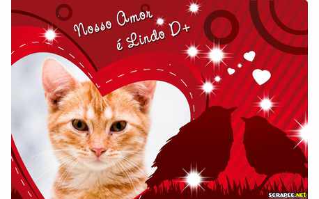 Moldura - Amor Eterno Amor