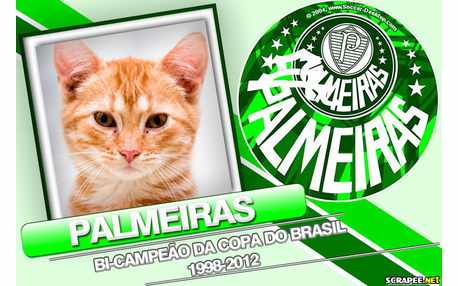 Moldura - Palmeiras Bi Campeao 1998   2012