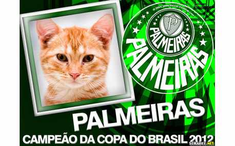 Moldura - Palmeiras Campeao