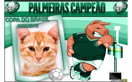 Moldura - Palmeiras Campeao 2012