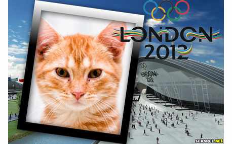 Moldura - London 2012   Olimpiadas 2012