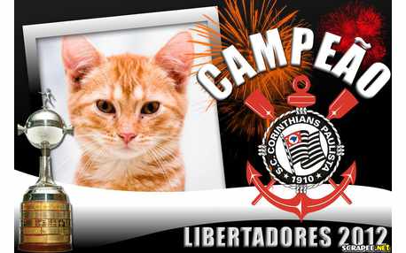 Moldura - Libertadores 2012