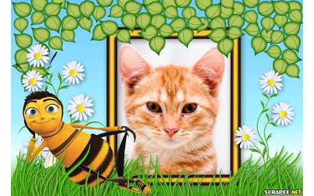 Moldura - Abelha Bee