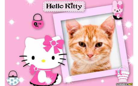 Moldura - Hello Kitty