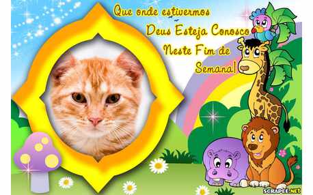 Moldura - Curticao E Bencao No Fim De Semana