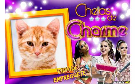 Moldura - Cheias De Charme   Novela