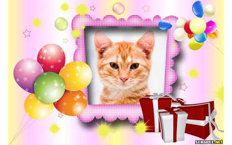 Moldura - Aniversario Feminino