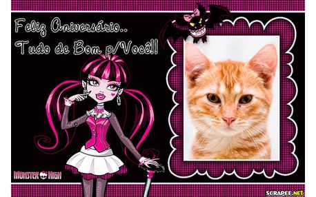 Moldura - Aniversario   Monster High