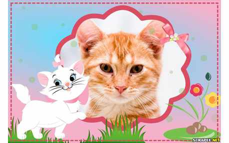 Moldura - Gatinha Marie