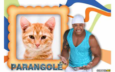 Moldura - Leo Santana   Parangole