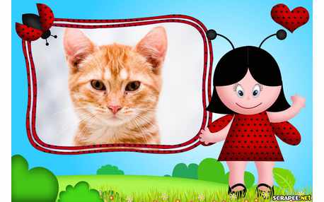 Moldura - Tema Joaninha