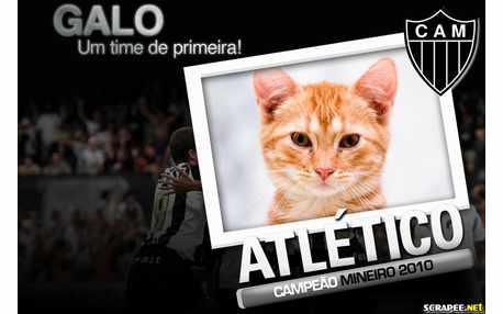Moldura - Atletico Mineiro    Galo