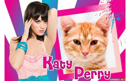 Moldura - Katy Parry