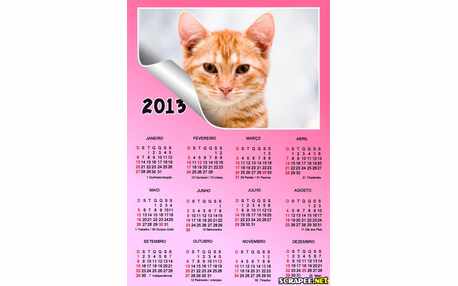Moldura - Calendario 2013 Rosa