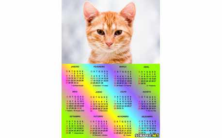 Moldura - Calendario 2013 Varias Cores