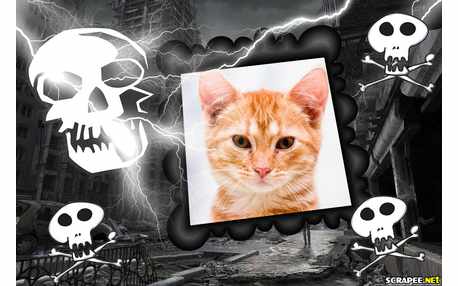 Moldura - Moldura De Caveira