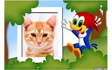 Moldura - Picapau Baby