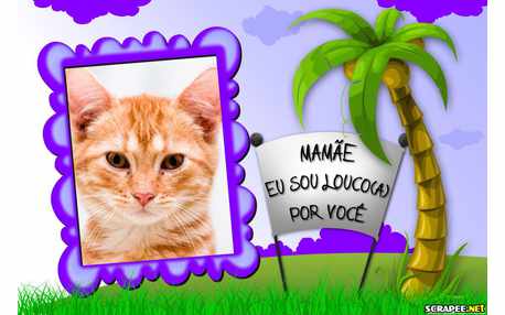 Moldura - Mae Eu Sou Louca Por Voce