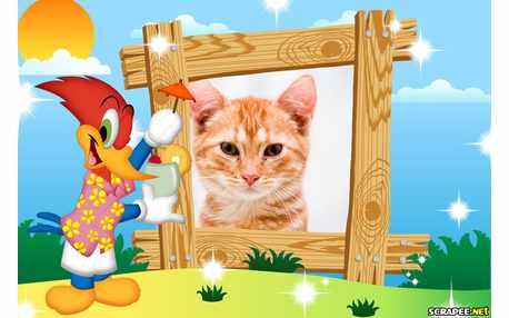 Moldura - Picapau Na Praia