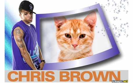 Moldura - Chris Brown